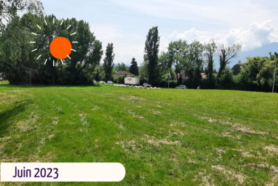 Une photo d'un pré, datée de juin 2023 - Agrandir l'image 3 sur 3, fenêtre modale